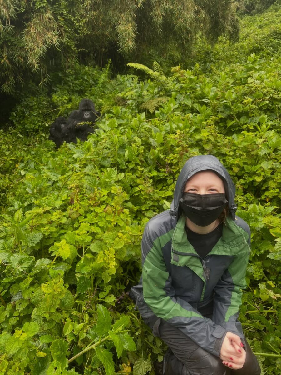 Gorilla Habituation Experience Bwindi