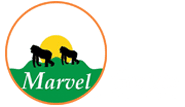 marvel-gorilla-adventure-logo