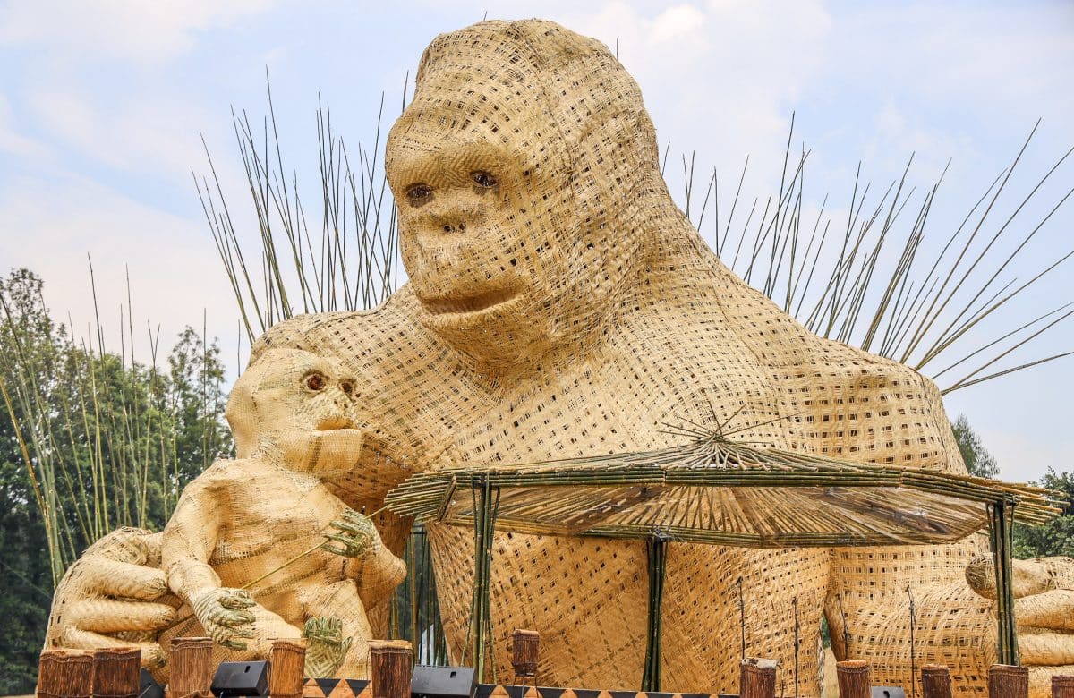 The Gorilla naming place- Kwita Izina at Volcanoes national park
