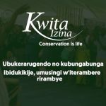 Rwanda Gorilla naming ceremony- Kwita Izina 2023