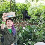 When to go Gorilla trekking| Choose the best time