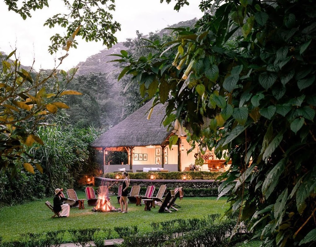 Sanctuary gorilla forest camp