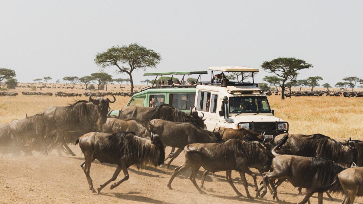 Packing for Serengeti wildebeest safari