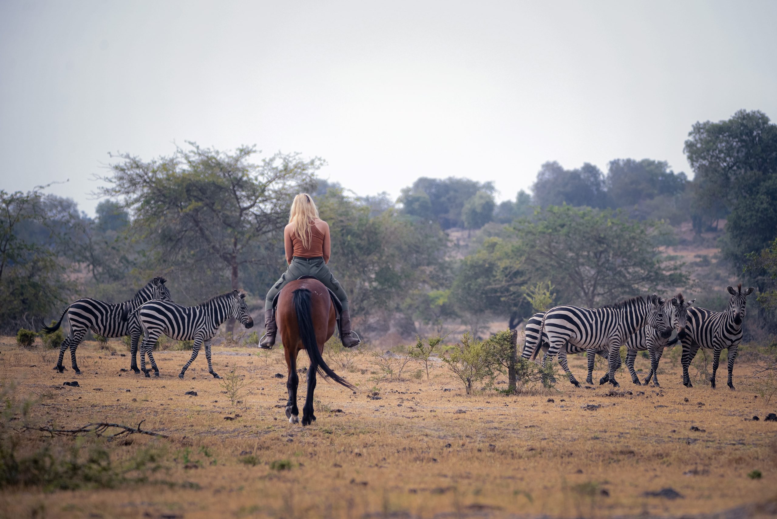 Close encounters with zebras in Lake Mburo 