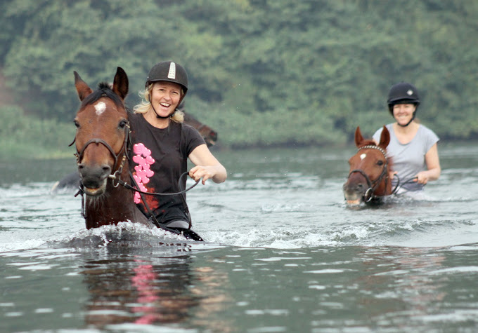 Swimming horses across the Nile 