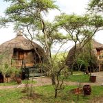 Where to stay in Serengeti National park