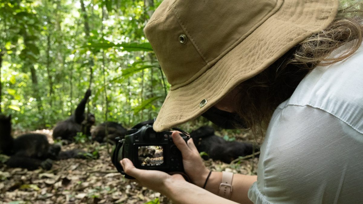 Complete Guide to Kibale Forest National Park
