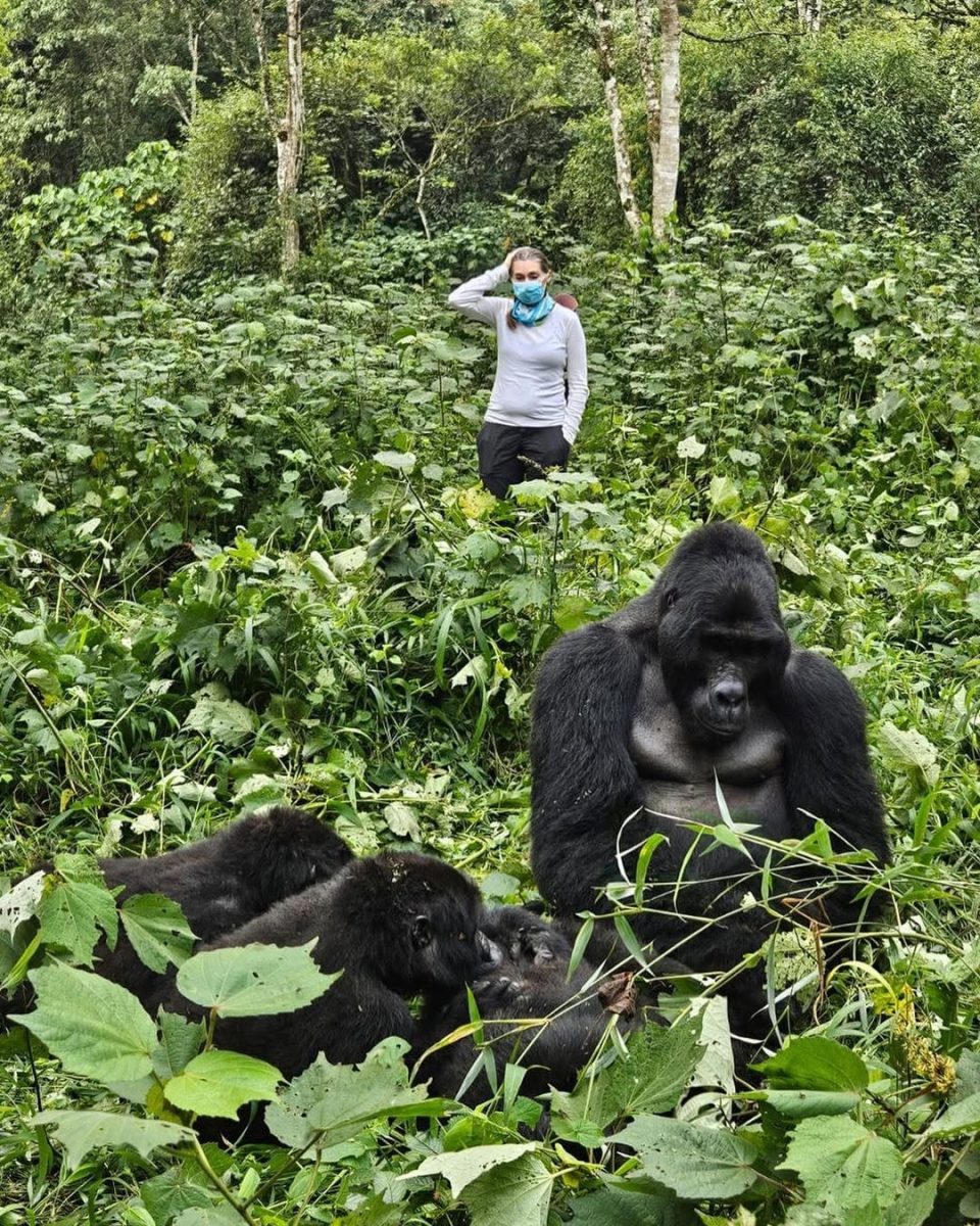 Gorilla Trekking