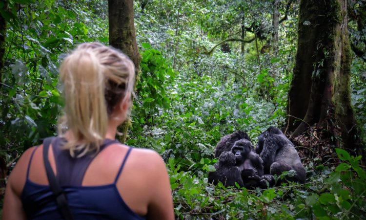 10-Day Uganda Safari Itinerary for First-Timers