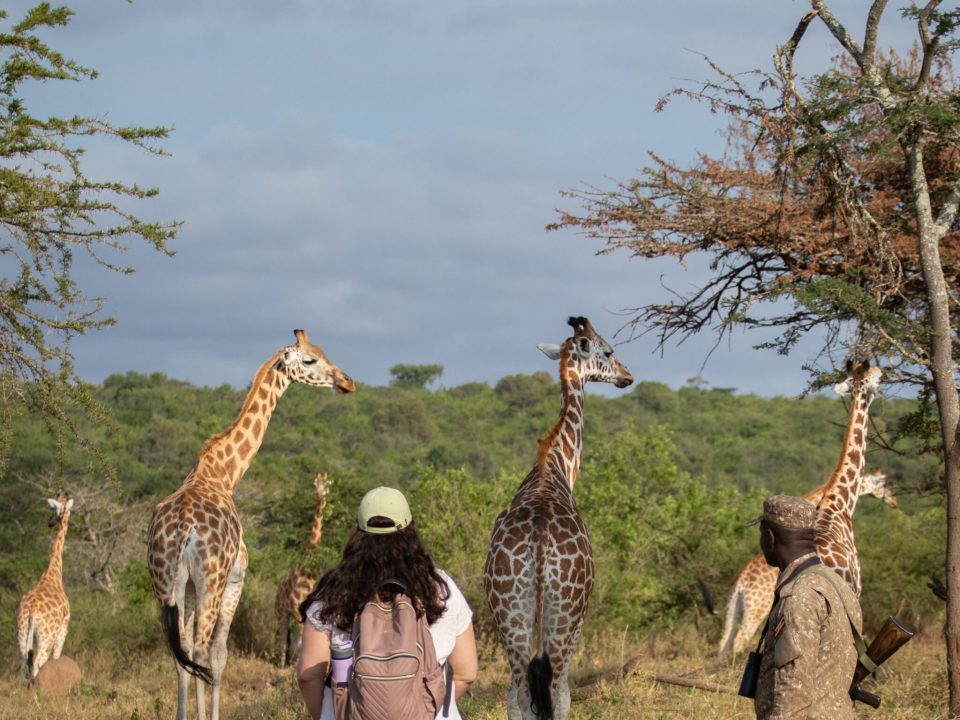 Exploring Lake Mburo: Uganda’s Hidden Safari Gem