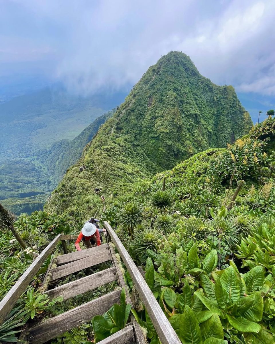 Rwanda safaris and tours