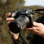 Best Safari Cameras for Wildlife Photography