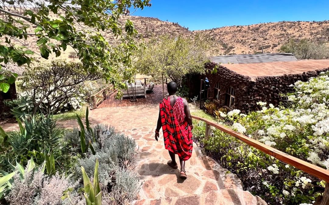 Learn how to combine culture and safari in Uganda, from wildlife adventures to authentic local experiences with communities and traditions.