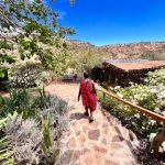 Learn how to combine culture and safari in Uganda, from wildlife adventures to authentic local experiences with communities and traditions.