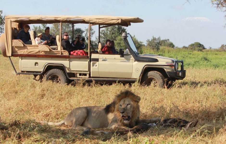 Fly-In vs Drive-In Safari in Uganda