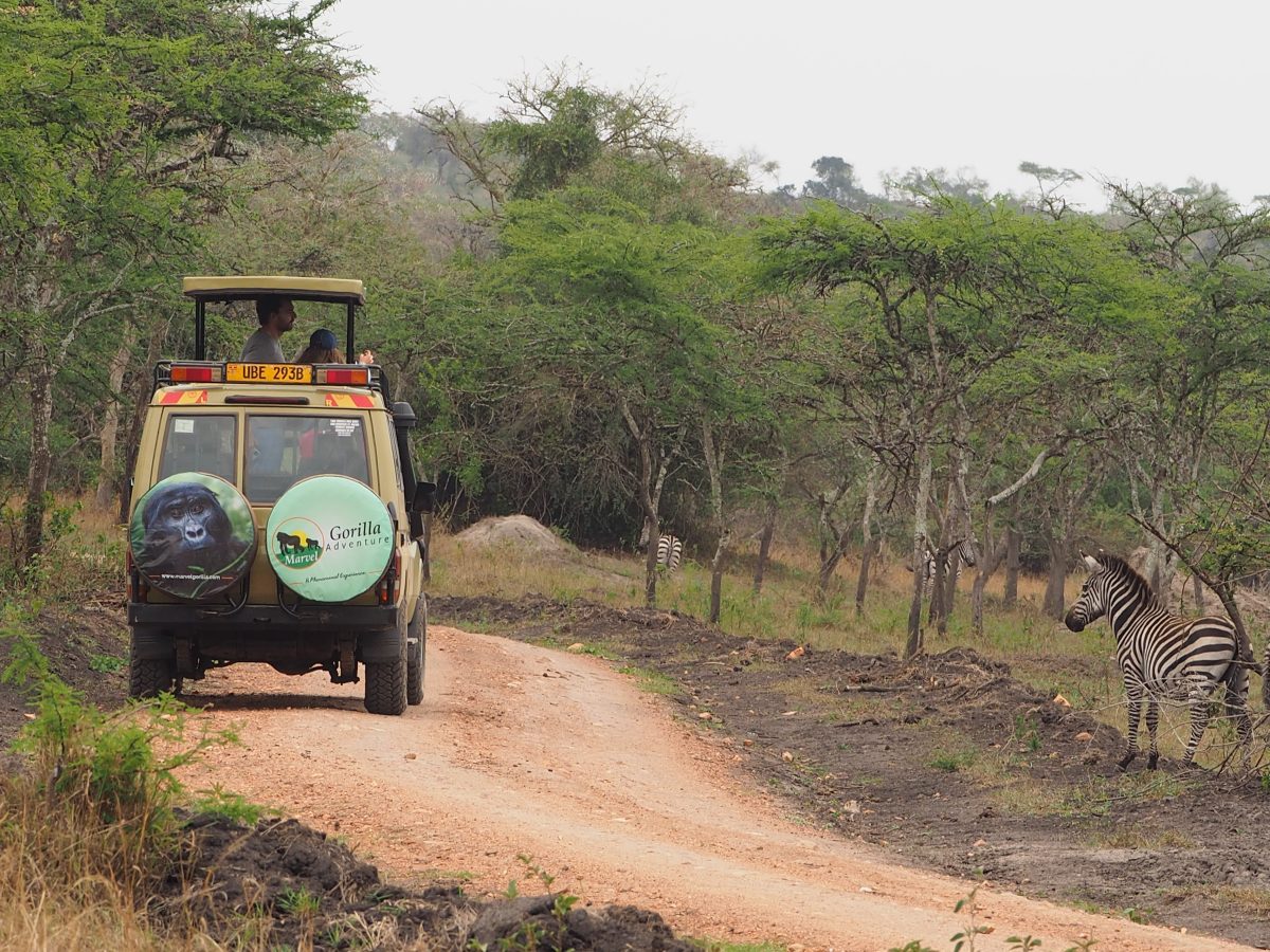 Game drive safaris