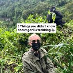 Things to know about Gorilla Trekking
