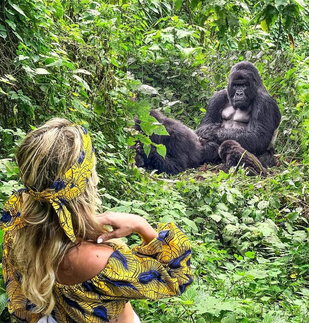 Nyege Nyege and Gorilla Trekking