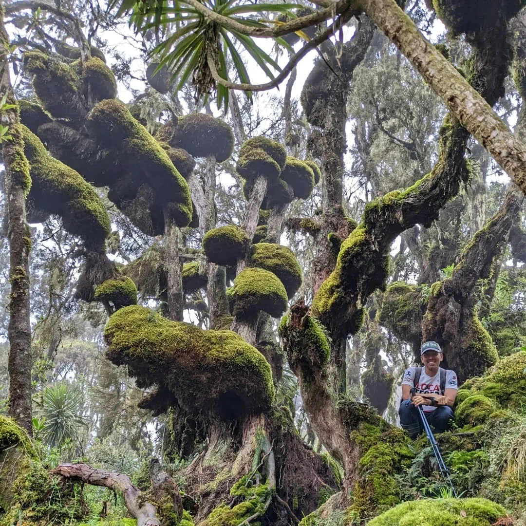 6 Days Mount Elgon Hike