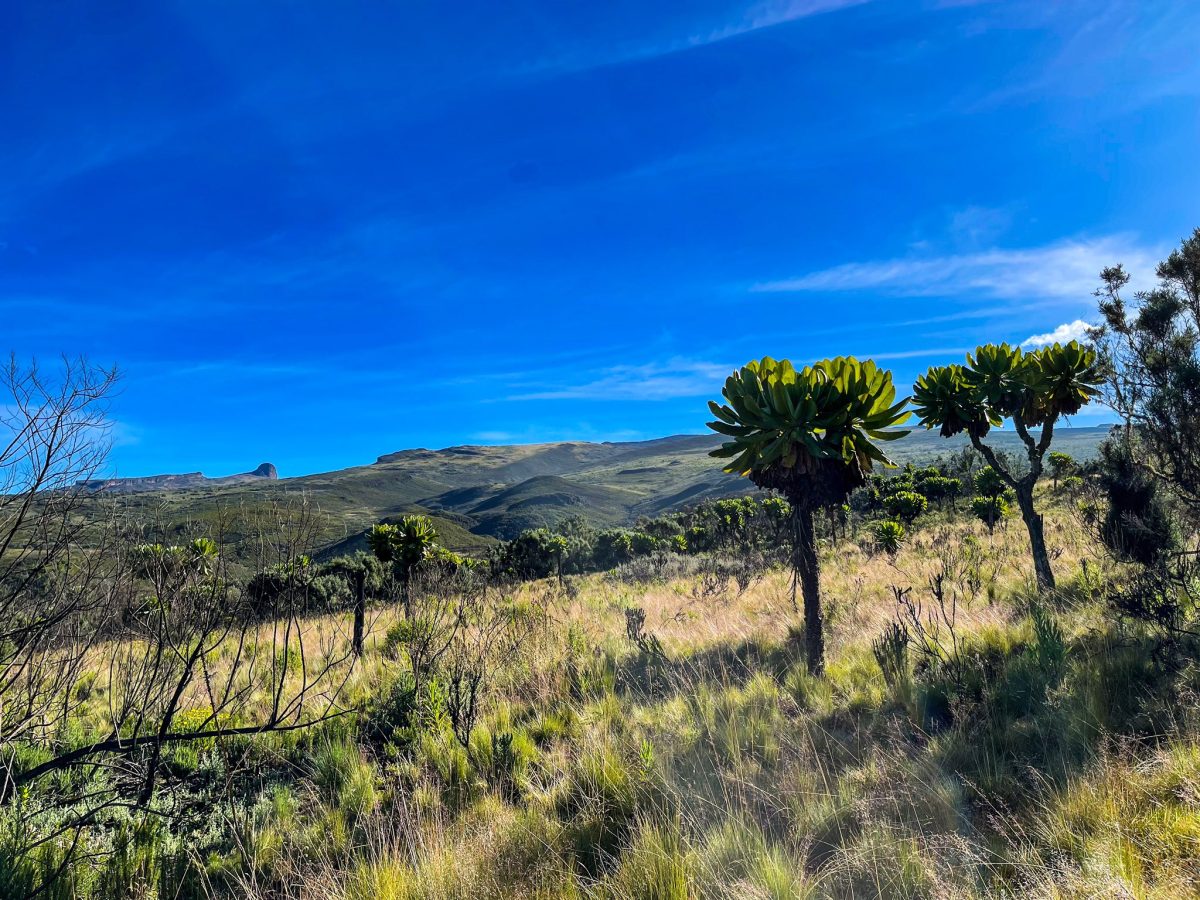 6 Days Mount Elgon Hike