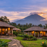 Gorilla Solutions Lodge Rwanda