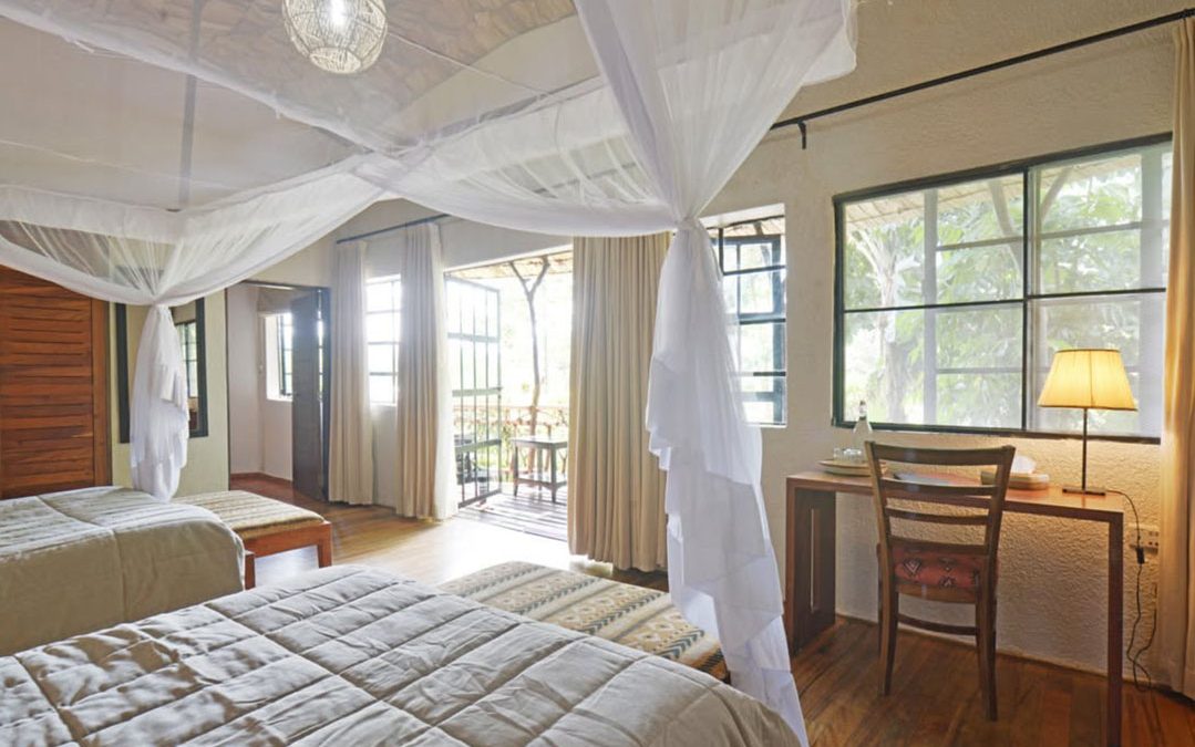 Mahogany Springs Lodge Bwindi