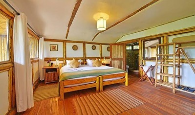 Best Places to Stay in Bwindi for Gorilla Trekking