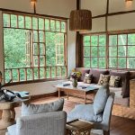 Where to Stay for Gorilla Trekking