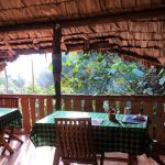 Broadbill Forest Camp