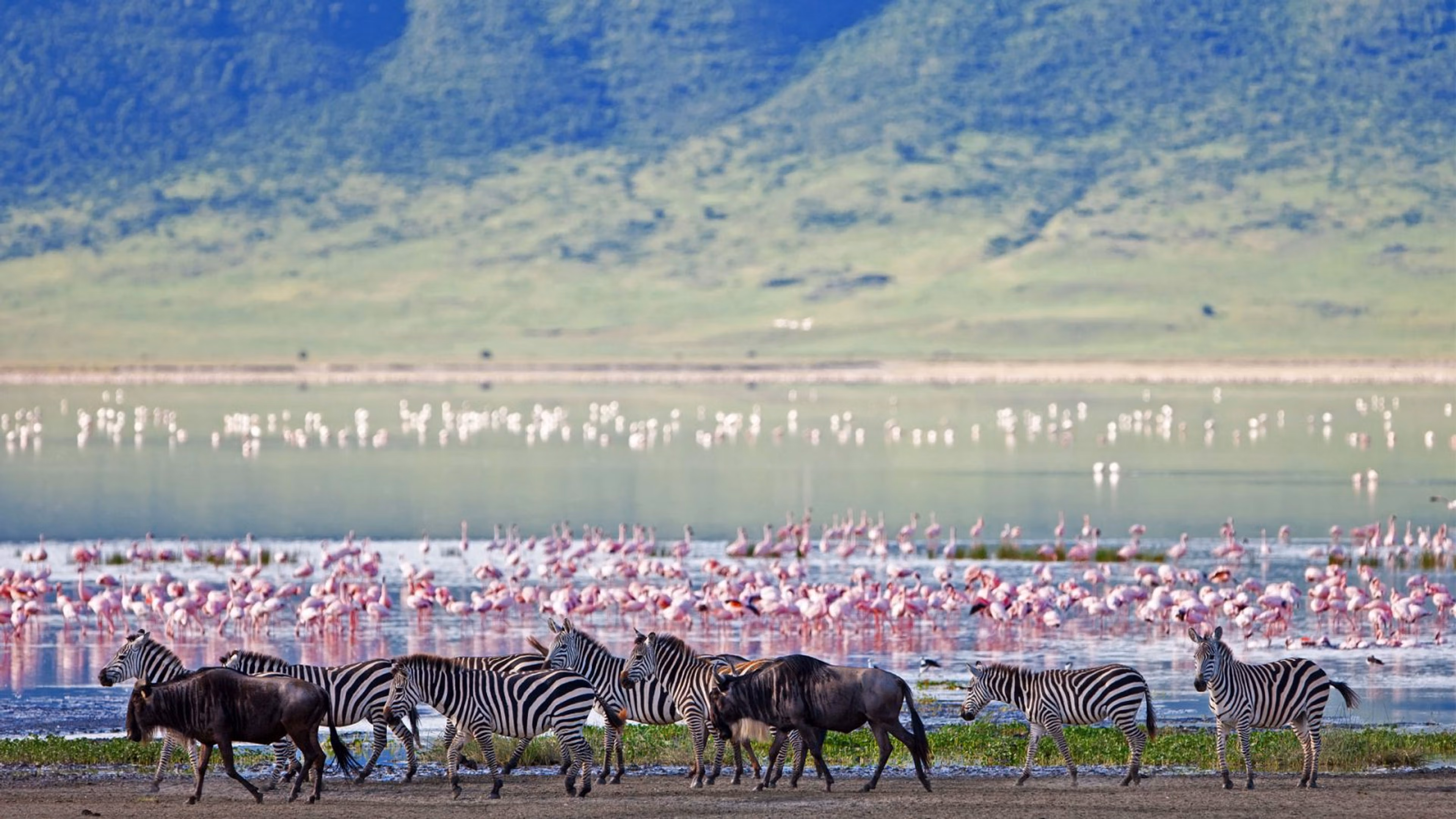 Serengeti Ngorongoro Rwanda Safari