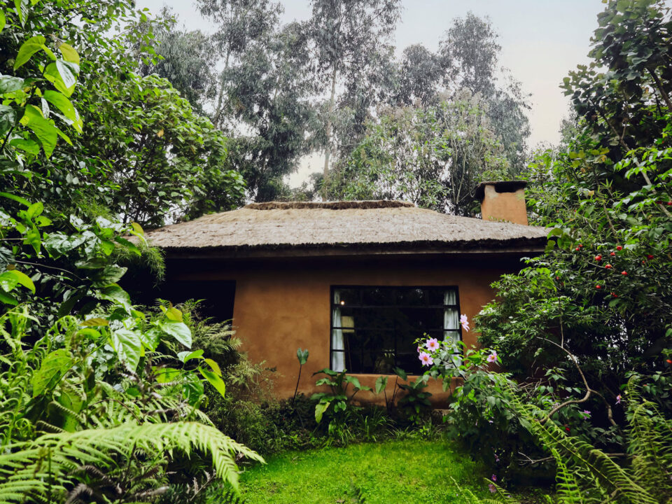 Sambora Kinigi Gorilla Lodge