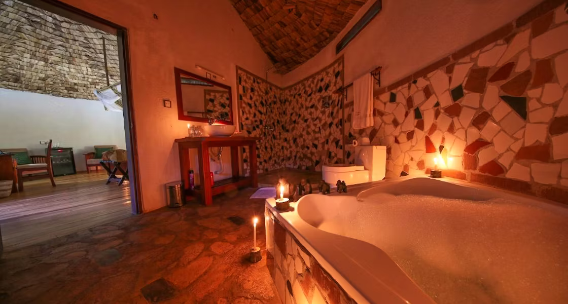 Where to Stay for Gorilla Trekking in Bwindi Impenetrable National Park