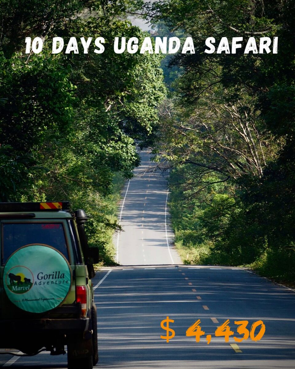 10 Days Uganda Wildlife Safari