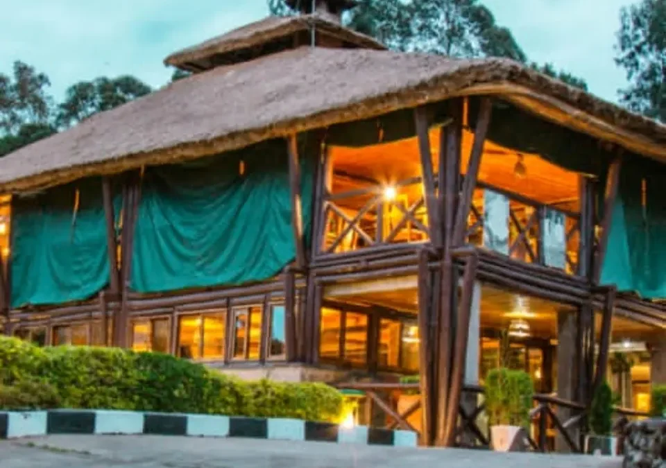 Da Vinci Gorilla Lodge