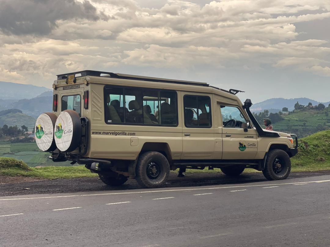 Self Drive Car Rental